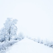 Mystic Winter. Mystic Winter.