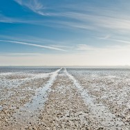 An Land in der Nordsee An Land in der Nordsee
