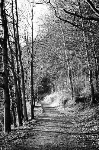 Waldweg